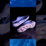 Closer Look at the adidas Yeezy 700 V3 “Fade Salt”