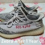 YEEZY ZEBRA REPS AFTER 1 YEAR OF WEARING