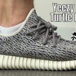 Yeezy 350 Turtle Dove on feet review