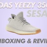 ADIDAS YEEZY BOOST 350 V2 SESAME – UNBOXING & REVIEW