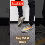 Adidas Yeezy 350 V2 BELUGA #onfeet #shorts #sneakers #fyp #foryou #adidas #yeezy #kanyewest #beluga
