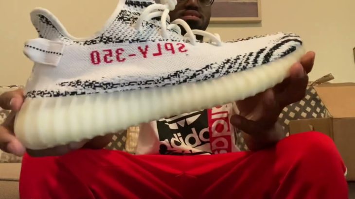 Adidas Yeezy Boost 350 V2 Zebra Review (Sizing & On Foot from The Goat App )