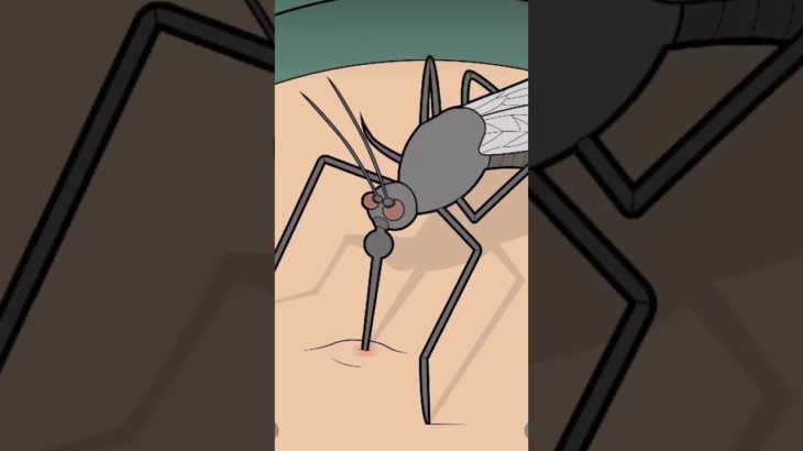 Animated Meme | #crocs #mosquito #shorts #viral #soundeffects #meme #yeezy