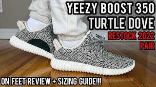 INSTANT GRAILS!!! Yeezy Boost 350 TurtleDove RESTOCK PAIR 2022 Review, Sizing, & On Feet!