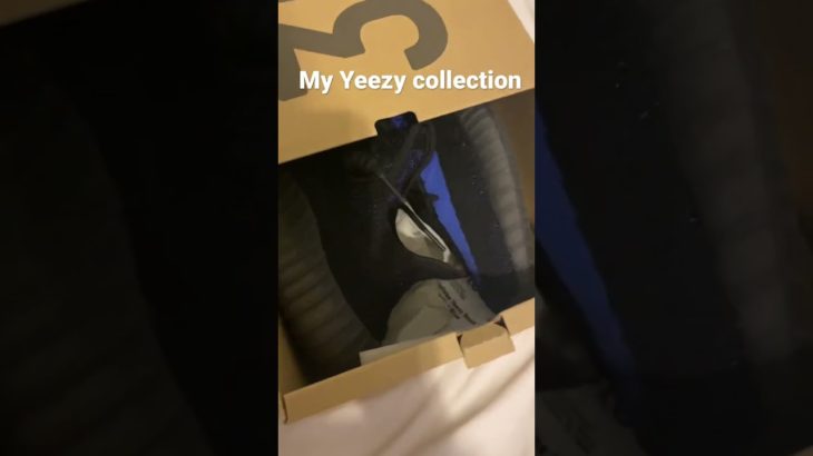 My Yeezy collection rate it.