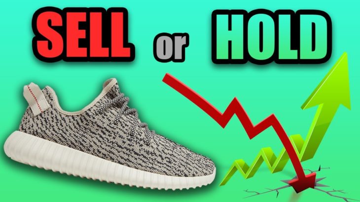 Should You SELL or HOLD The Yeezy 350 TURTLE DOVE ?