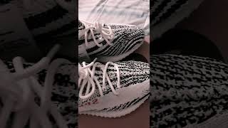 Adidas Yeezy Boost 350 V2 Zebra | #yeezy #adidas #boost #shorts