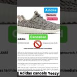Adidas cancels Kanye west..how does that affect Yeezys in the resell market? #shorts #short #viral