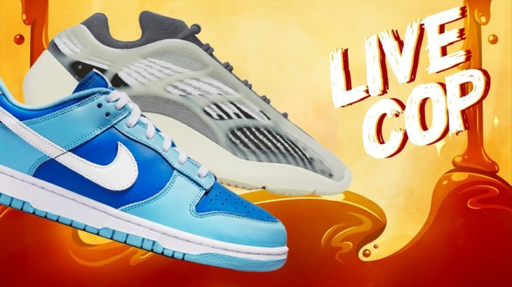 LIVE COP: Nike Dunk Low Argon & Yeezy 700 V3 Salt