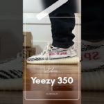 My Yeezy 350 on-foot line up you gotta love it