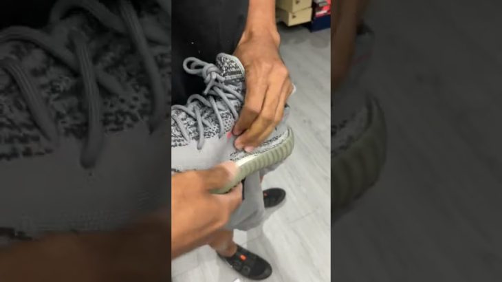 Yeezy Beluga material test and ripped off.