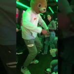 Bear Behind The Scenes On Tour Bus! #tour #bear #yeezy #mask  #explore #subscribe #youtubeshorts