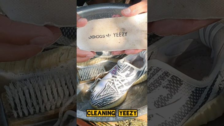 Cleaning Yeezy Shoes #shoes #shorts #yeezy #adidas #cleaning #asmr
