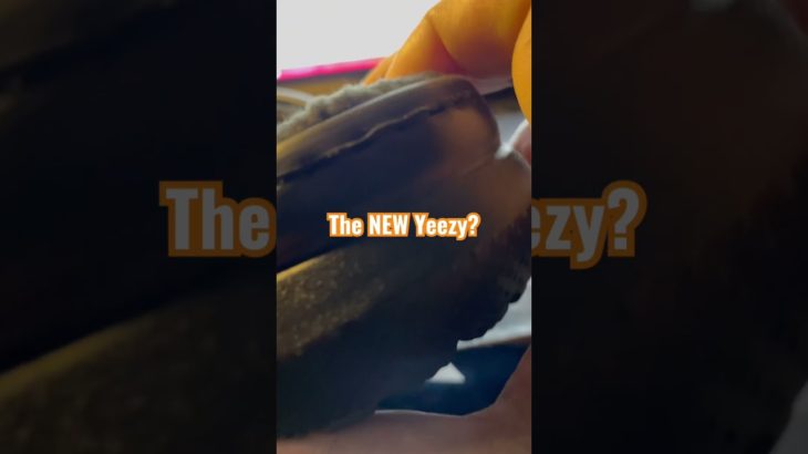 The NEW Yeezy
