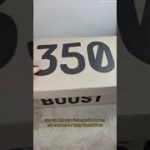 Yeezy Boost 360 v2 da Shopee