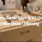 Yeezy Turtle Dove and Nike Shoes Unboxing
