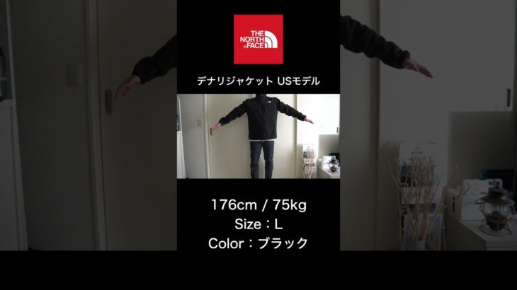 【ザ・ノース・フェイス】デナリジャケット Lサイズ – 176cm/75kg ※海外モデル