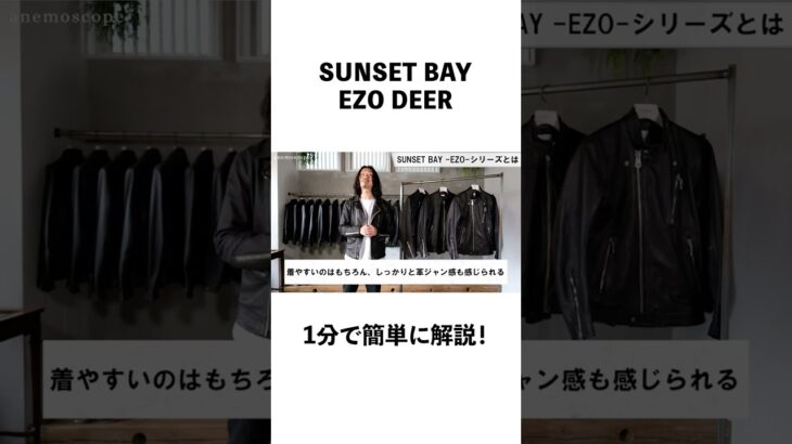 【一分で解説】SUNSET BAY EZO DEER ! #革ジャン #レザージャケット