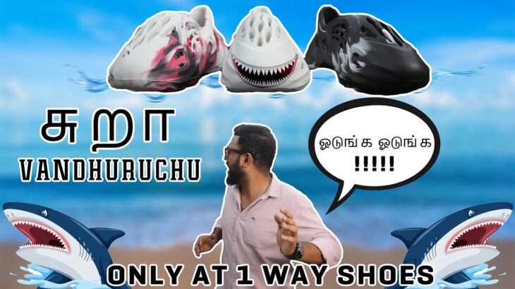 SHARK SHARK !!! | Yeezy foam runner | vera mari collection | 1 way shoes | chennai | wanarapettai