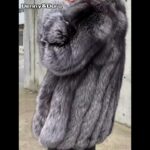 Denny&Dora Mens Grey Fox Fur Coat Fur Jacket Fur Jacket Lapel Design Silver Fox Fur Jacket