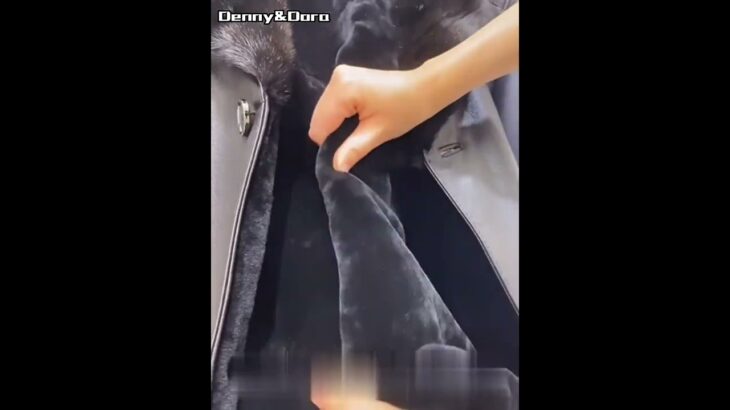 Denny&Dora Men’s Mid-Length Sheepskin Coat Men’s Black Shearling Jacket Flight Jacket For Men