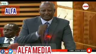 THE LION OF THE NORTH Explains how A2 Tarmac transformed the face of Marsabit County.