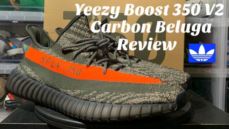 Adidas Yeezy Boost 350 V2 Carbon Beluga Review. Carbon Beluga 350 Review. #mcfly704 #carbonbeluga