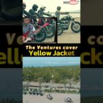 Yellow Jacket(イエロー・ジャケット)The Ventures/cover by mostube7 #shorts