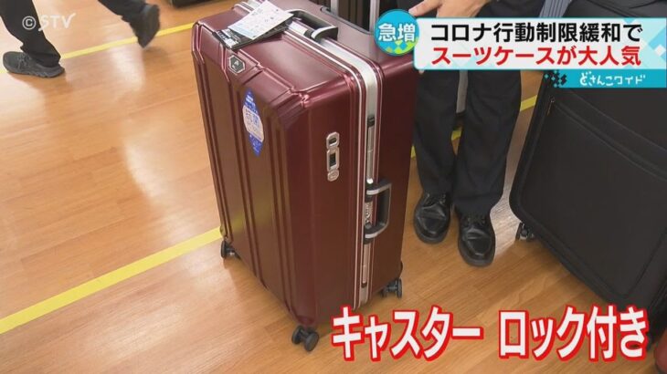 「旅行中に買いに来た」大人気のスーツケース　携帯電話の充電も　旅行需要が回復　北海道