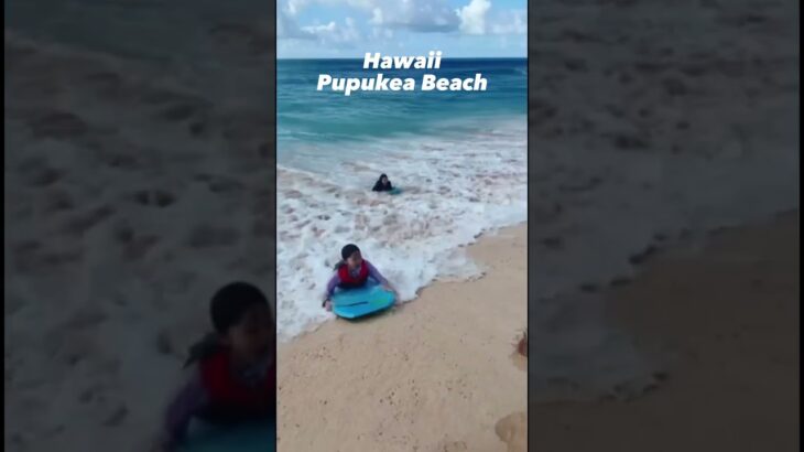 ププケアビーチ。波がめちゃめちゃ高い。必ずライフジャケットつけるべし。どんなに泳ぎが上手くても何かあった時に助けることができない波の強さ。#ノースショア #ハワイ #ププケア #ボディボード