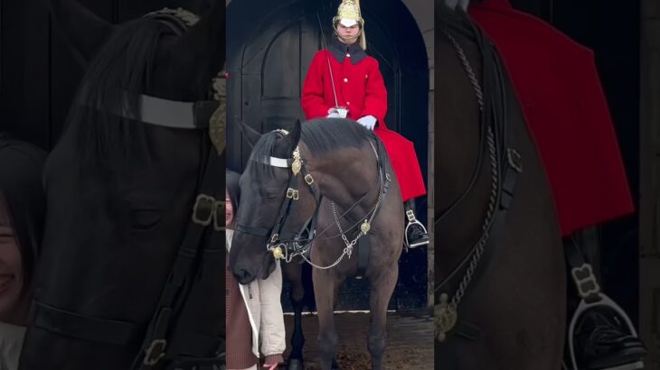 The Royal King’s guard’s horse Want his jacket back from tourist #short