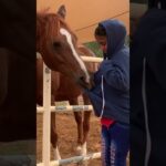 Wow 😮my daughter got scared when horse🐎 pulled her jacket #shortvideo #youtube #foryou #horselover