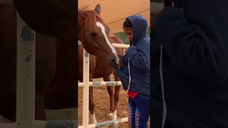 Wow 😮my daughter got scared when horse🐎 pulled her jacket #shortvideo #youtube #foryou #horselover