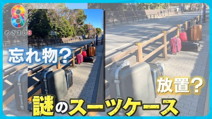 【なぜ？】上野公園近くの路上にスーツケース複数放置 警告文の張り紙も…【めざまし８ニュース】