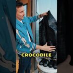 $50,000 crocodile jacket