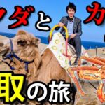 【砂丘】鳥取を１泊２日で観光！　ラクダとカニの街