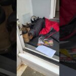 Dog Gets Stuck in Guy’s Jacket