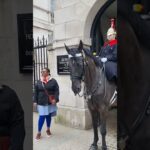 HORSE TRIES TO PULL TOURIST JACKET