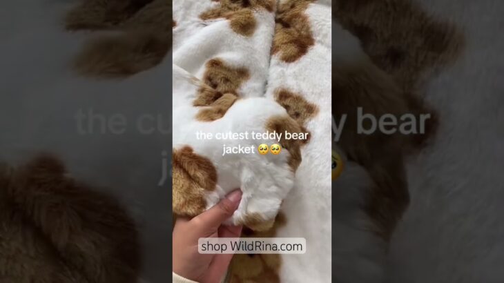 THE CUTEST TEDDY BEAR JACKET | Wild Rina | California Women’s Clothing Boutique