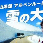 【富山の旅】立山黒部アルペンルートを日帰りで走破！チューリップと雪の大谷二刀流の旅
