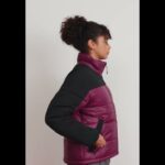 THE NORTH FACE Himalyan Insulated Winter Jacket Shiny Boysenberry Women | Zalando