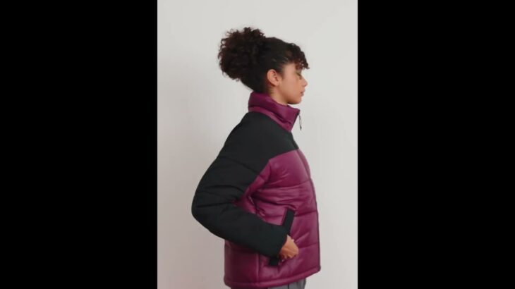 THE NORTH FACE Himalyan Insulated Winter Jacket Shiny Boysenberry Women | Zalando