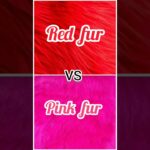 red fur jacket 💖 vs pink fur 💗/ dress 👗/ nails 💅/ coat 🧥 /heels 👠/ purse 👛/ bedroom 🛏️/ etc…