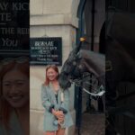 HORSE WANTS HER JACKET | Horse Guards, Royal guard, Kings Guard, Horse, London, 2024
