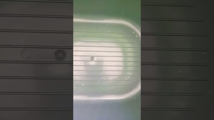 #yeezy #shoes #crocs #music застрял в дырке