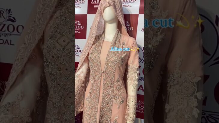 Alina dress Jacket style dress Alina pant dress With long duppata #alina #alinadress #alinacut