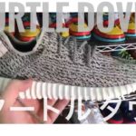 BUTTER MOVEMENT LOST FOOTAGE YEEZY 350 TURTLE DOVES ・失われた映像 アディダス イージー 350 タートル ダヴ [スニーカー sneakers]