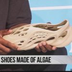 Yeezy Shoes made of algae