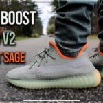 Adidas Yeezy Boost 350 V2 Desert Sage On Foot & Review