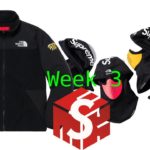 Supreme SS20 Week 3 Live Cop The North Face RTG Fleece Jacket